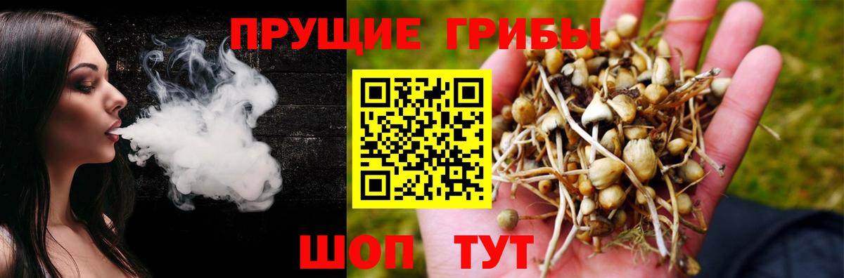 Галлюциногенные грибы Psilocybine cubensis  Вход с VPN  купить наркотик  Белебей  Псилоцибиновые грибы прущие грибы 